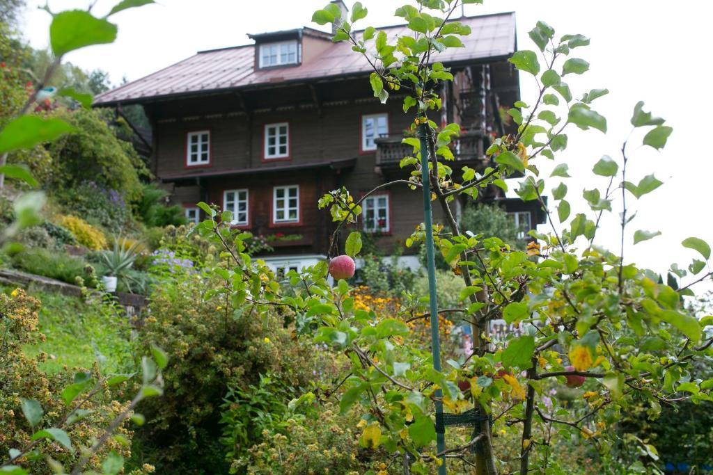 Landhaus Alpina Pensionat Mittersill Eksteriør billede